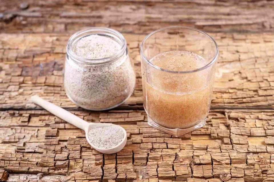 Psyllium: saiba como suplemento de fibras pode ajudar no emagrecimento