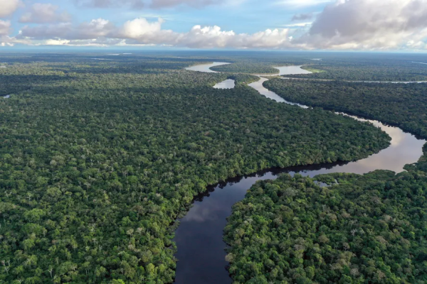 Brasil perde 6,3 milhões de hectares de superfície de água em 40 anos, quase um terço da área de 1985