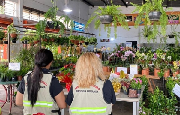 Preços de flores para Dia de Finados variam até 235% em Goiânia