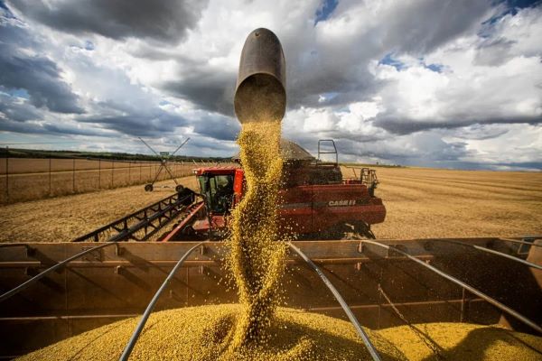 Cresce número de pedidos de recuperação no agronegócio goiano; foram 54 esse ano