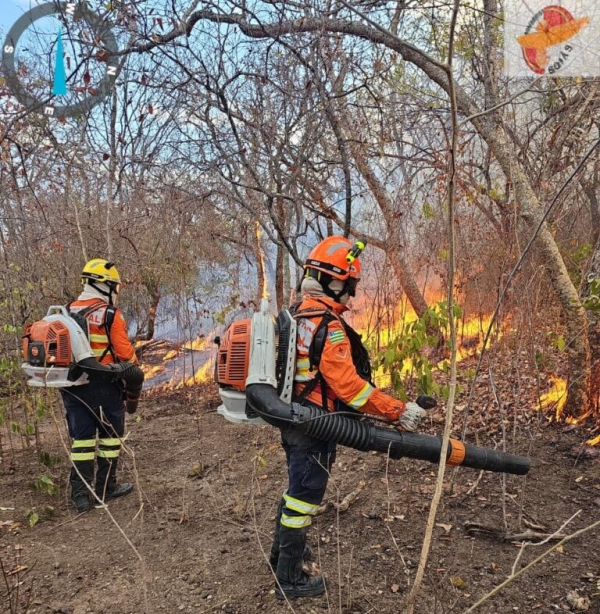 Identificados autores de incêndios florestais