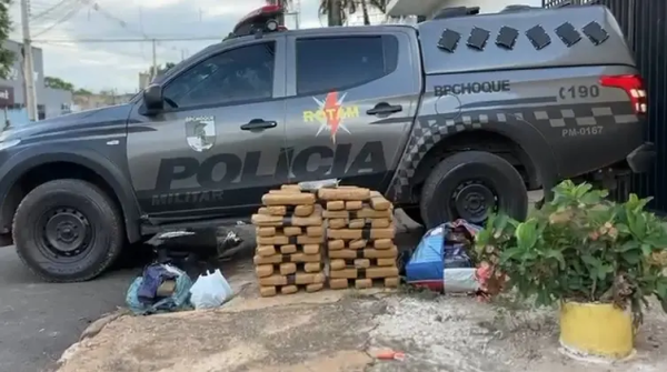 Polícia Militar encontra mais de 80 kg de maconha escondidos em área de mata em Palmas