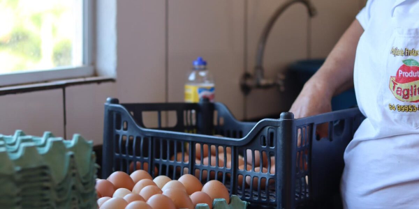 Pequeno produtor fique atento! Inscrições em Projeto de Melhoria da Qualidade das Agroindústrias terminam neste sábado